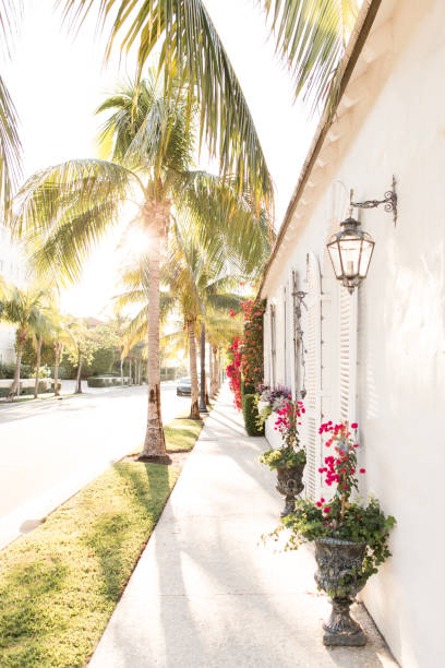 istock Tropical Palm Beach, Florida 942715878