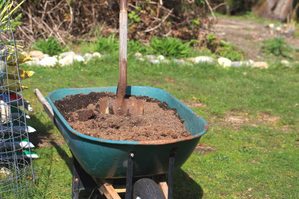 istock Gardening Shovel and Wheelbarrow 942718022