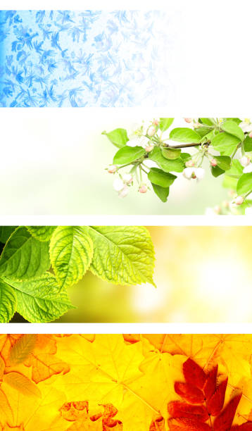 istock Four seasons of year 942727308