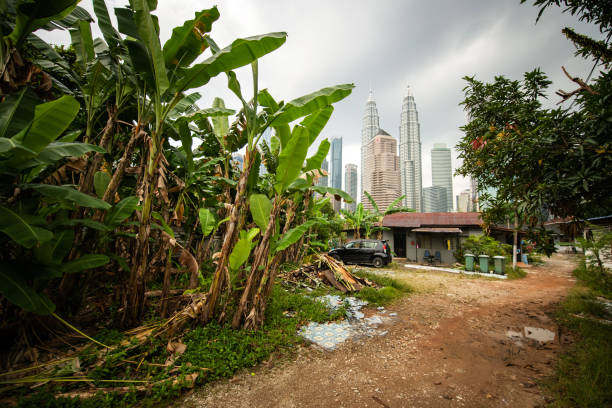 башни-близнецы петронас из кампунг бару, куала-лумпур, малайзия - baru стоковые фото и изображения