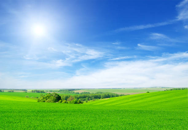 istock green field and blue sky 942734856