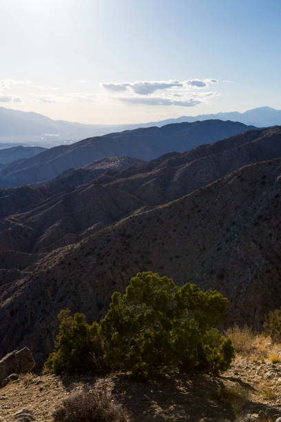 istock Key's View in Joshua Tree National Park 942735546