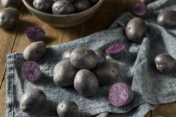 istock Raw Organic Purple Baby Potatoes 942735858