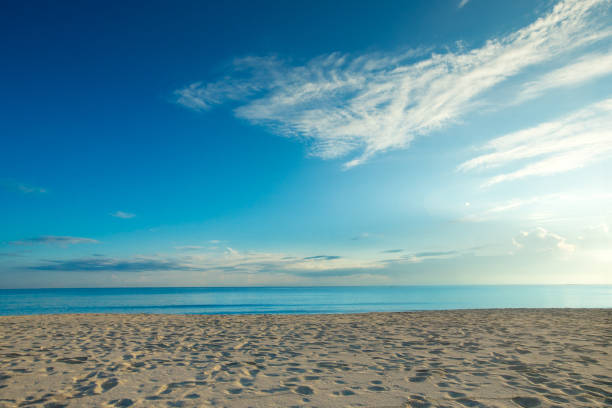 istock tropical beach in Sri Lanka 942735956