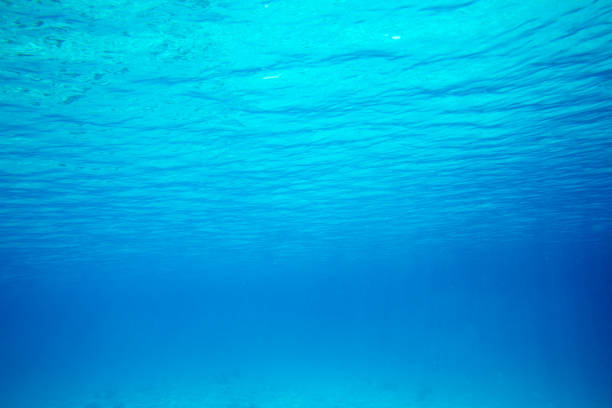 istock Underwater blue ocean background in sea 942736062