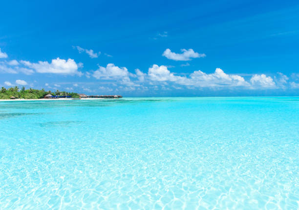 istock beautiful tropical sea 942736926