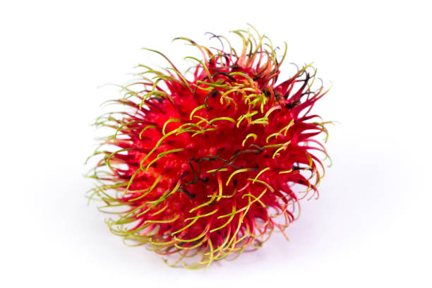 rambutan fruit of thailand