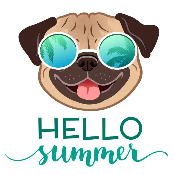 Vector illustration of Pug dog wearing mirror sunglasses with palm trees reflection, with Hello Summer text vector illustration. Funny humorous lifestyle, summer holidays, resort, tropical vacation theme design element.
