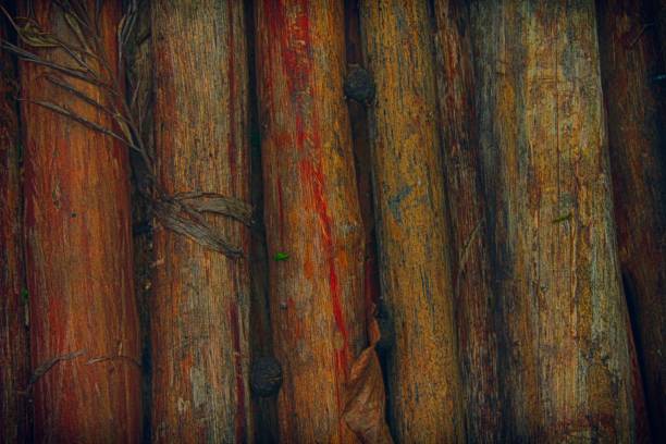 Bamboo wall texture background. wooden texture for web site or mobile devices