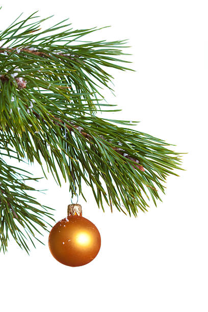 istock Christmas fir isolated 94273999