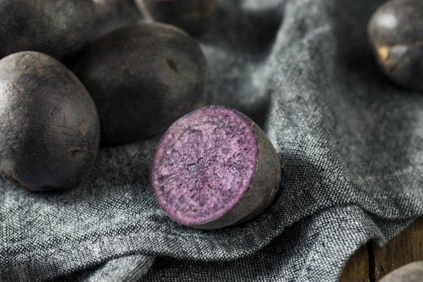 patatitas morado orgánico crudo - patata peruana fotografías e imágenes de stock