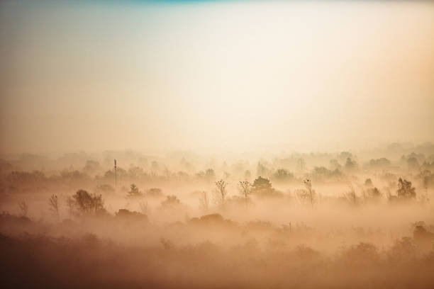 istock Sunrise fog Copenhagen 942740702
