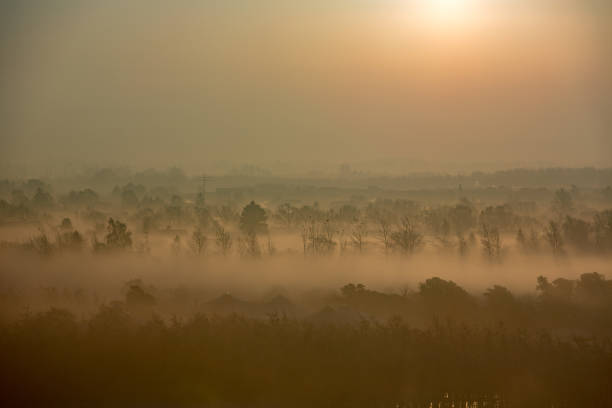 istock Sunrise fog Copenhagen 942740772