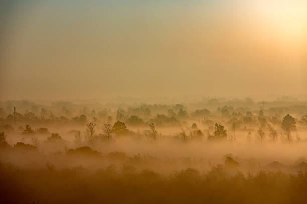 istock Sunrise fog Copenhagen 942740832