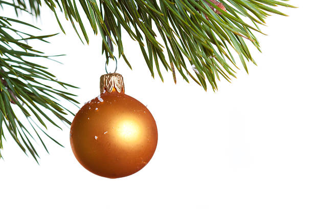 istock Christmas fir isolated 94274293