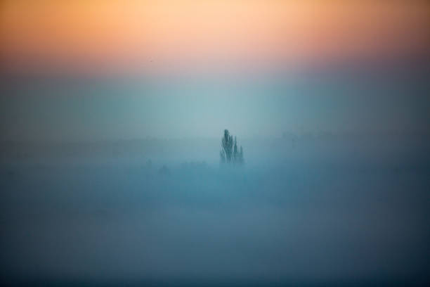 istock Sunrise fog Copenhagen 942743090
