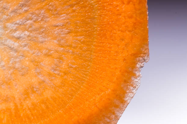 thin carrot slice