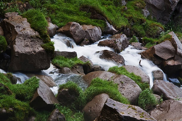 Water and Moss stock photo