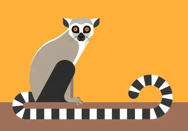 Vector illustration of Sitting lemur