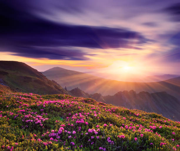 istock Beautiful sunset in the spring in the mountains 942759820
