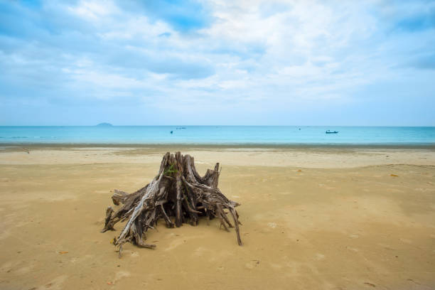 istock Beach, Coastal Feature, Island, Sand, Summer 942760086