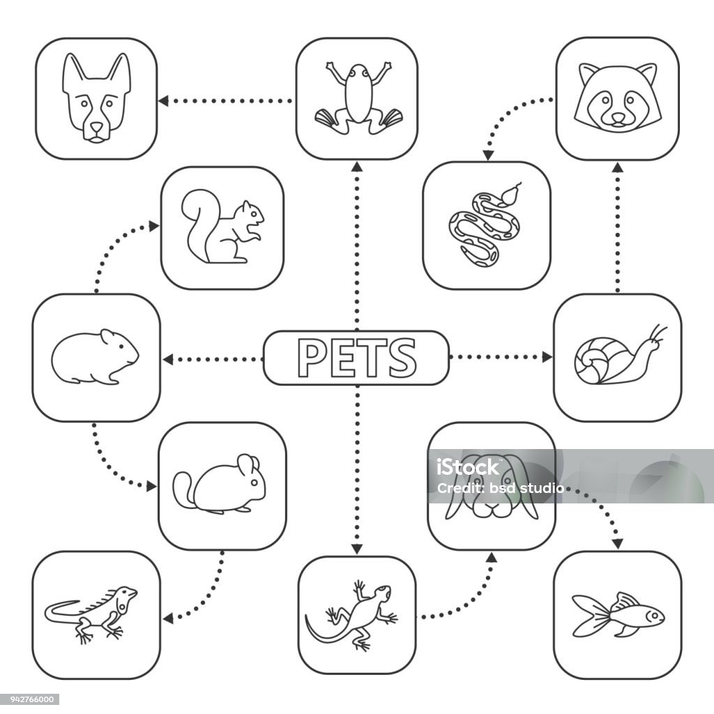 Pets icons Petsmind map with linear icons. Isolated vector illustration. Domestic animals Advice stock vector