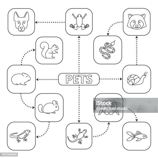 Pets Icons Stock Illustration - Download Image Now - Advice, Animal, Arrow Symbol