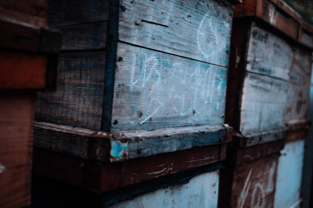 istock Grunge wood wall with blurry perspective 942774274