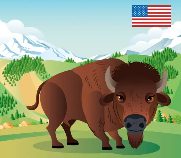 Vector illustration of American Bison and Yellowstone park