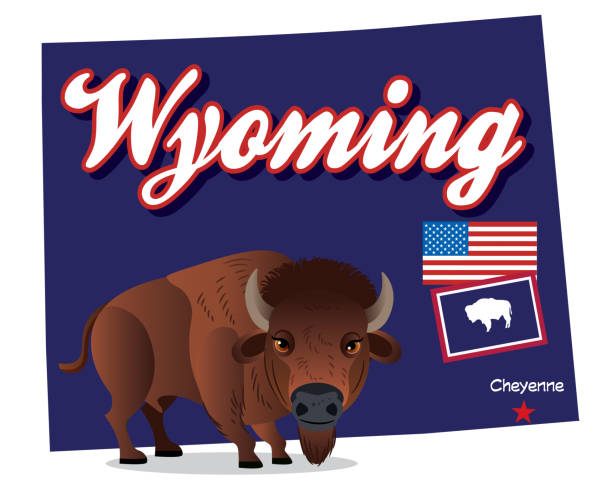 Wyoming Bison Wyoming

I have used 
http://legacy.lib.utexas.edu/maps/us_2001/wyoming_ref_2001.jpg
address as the reference to draw the basic map outlines with Illustrator CS5 software, other themes were created by 
myself. casper wyoming stock illustrations