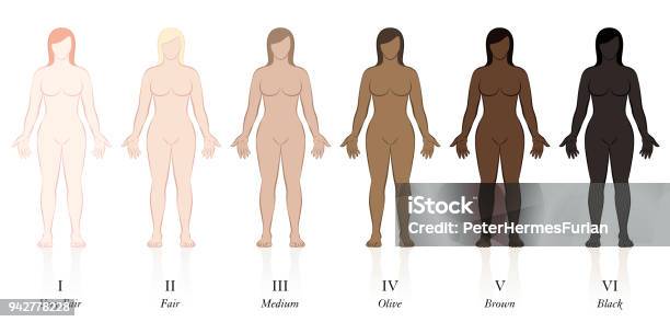 肌タイプ異なる肌の色と 6 人の女性非常に公平公正な媒体オリーブブラウンとブラック太陽保護因子を決定します - サイズのベクターアート素材や画像を多数ご用意