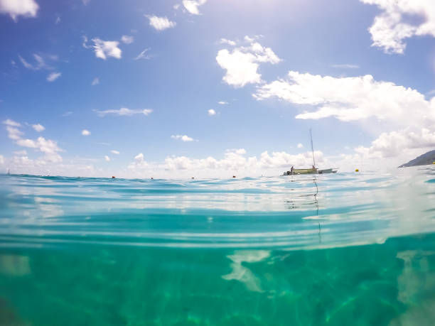 istock Stand up paddle in Bora Bora Island, French Polynesia. 942778832