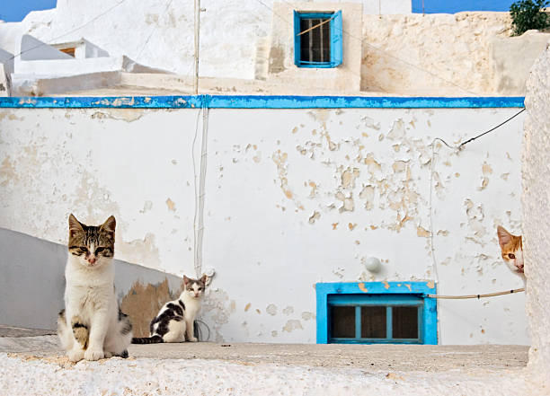istock The hosts of deserted  house. 94278499
