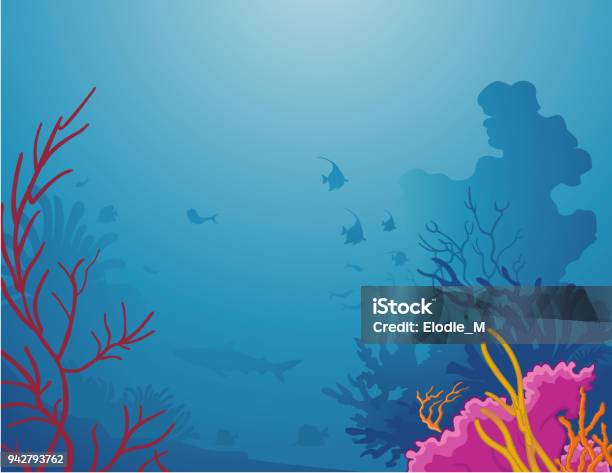 Sea Life Stock Illustration - Download Image Now - Coral - Cnidarian, Underwater, Coral Colored