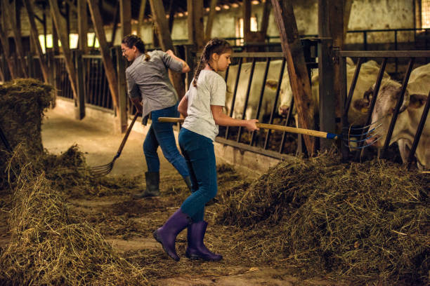 istock Mother and daughter preparing hay for the cows 942800164