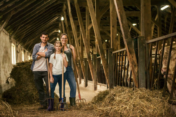 istock Pitchfork cattle farmer family portrait 942800510