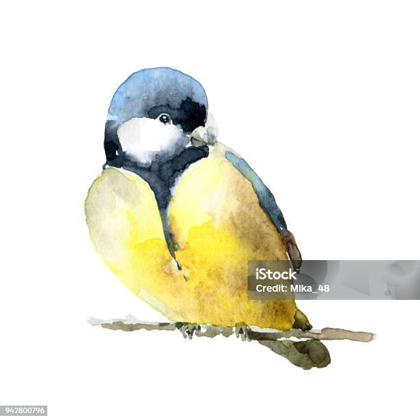 Titmouse On White Background Stock Illustration - Download Image Now - Watercolor Painting, Bird, Chickadee