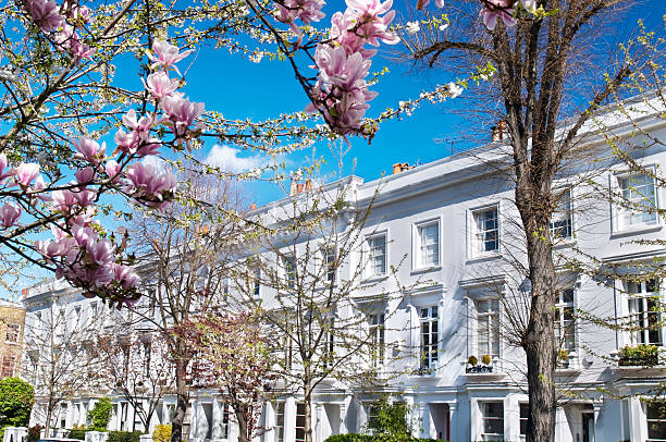 casas de luxo com terraço, no oeste de londres. - magnolia white pink blossom - fotografias e filmes do acervo