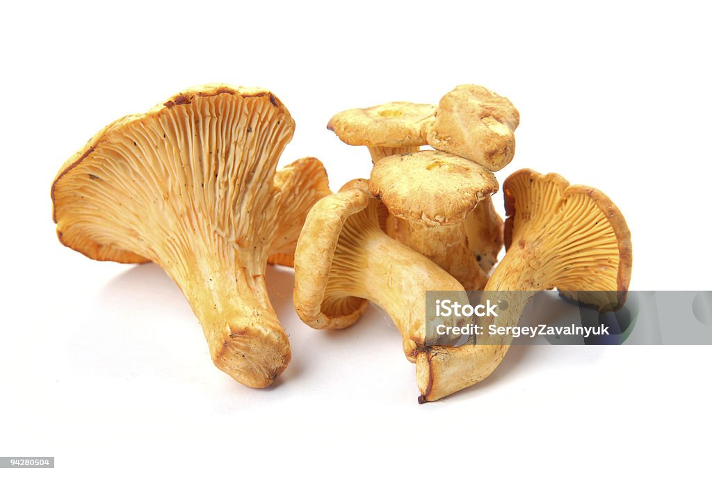 Hongos seta chanterelle - Foto de stock de Aire libre libre de derechos