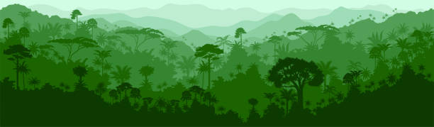 vektor horizontale nahtlose tropischen regenwald-dschungel hintergrund - amazonia stock-grafiken, -clipart, -cartoons und -symbole