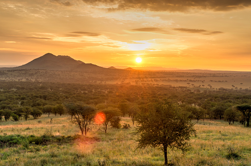 Salida del sol en el Parque Nacional del Serengeti, paisaje con efecto de luz solar, África. photo