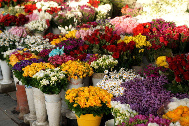 flower-seller - fresh cut flowers imagens e fotografias de stock