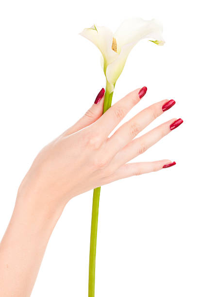 istock Beautiful nails and fingers 94281393