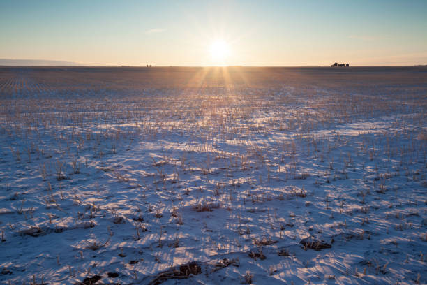 istock Canadian Prairie Winter Scene, Saskatchewan, Canada. 942822048