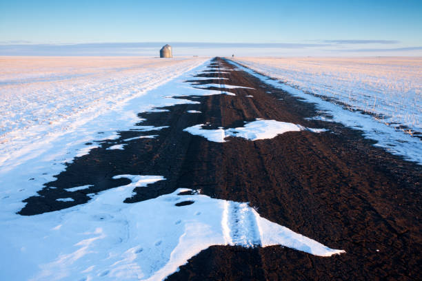 ムースジョー サスカチュワン カナダの側面だけを冬時間農道 - prairie farm winter snow ストックフォトと画像