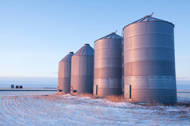 grão pradaria canadense de saskatchewan de silos de armazenagem - prairie farm winter snow - fotografias e filmes do acervo