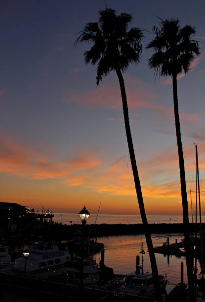 istock Dusk at King Harbor, Redondo Beach, California 942826068