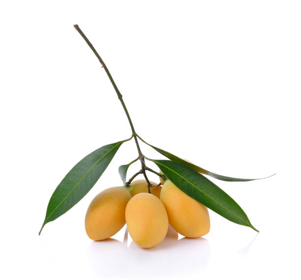istock Sweet Marian plum on white background 942826438