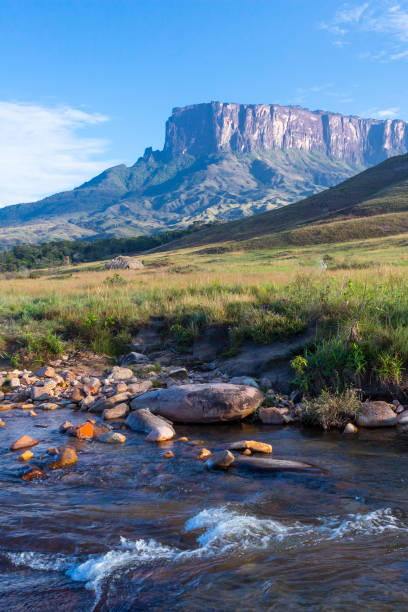 Mount Roraima, Venezuela, South America Mount Roraima, Venezuela, South America. Trekking. table ledge stock pictures, royalty-free photos & images
