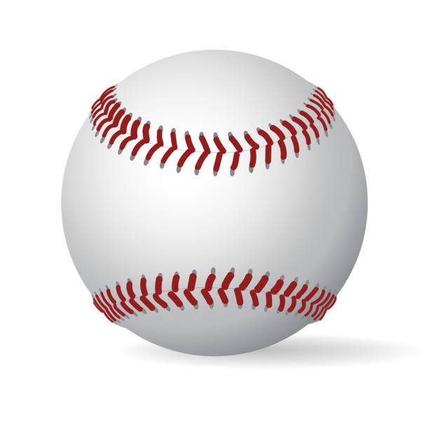 가죽 야구 공입니다. 벡터 - baseballs stock illustrations